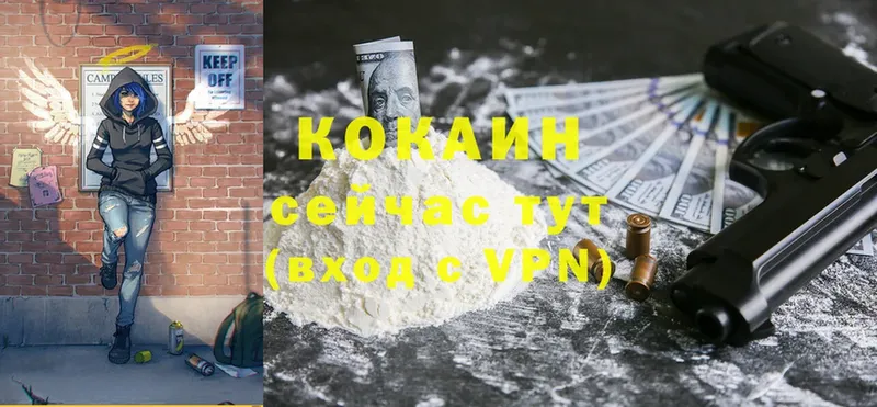 где купить наркоту  Александровск-Сахалинский  Cocaine 99% 