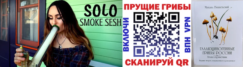 Галлюциногенные грибы Magic Shrooms  kraken вход  Александровск-Сахалинский  купить наркотики сайты 